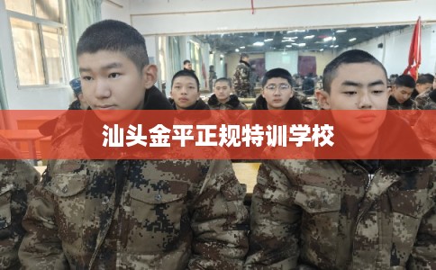 汕头金平正规特训学校