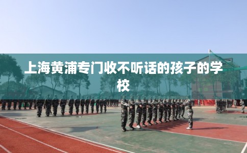 上海黄浦专门收不听话的孩子的学校 上海黄浦专门收不听话的孩子的学校