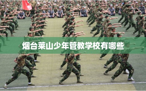 烟台莱山少年管教学校有哪些 烟台莱山少年管教学校有哪些