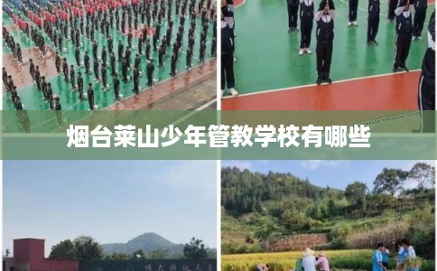 烟台莱山少年管教学校有哪些