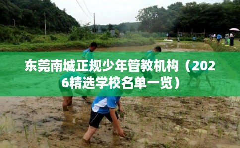 东莞南城正规少年管教机构（2026精选学校名单一览）