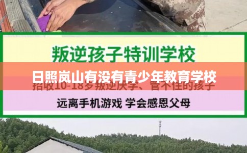 日照岚山有没有青少年教育学校