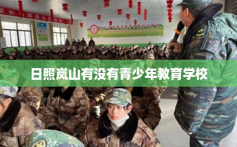 日照岚山有没有青少年教育学校