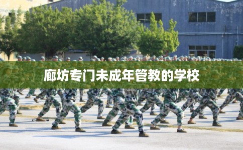 廊坊专门未成年管教的学校