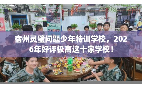 宿州灵璧问题少年特训学校，2026年好评极高这十家学校！