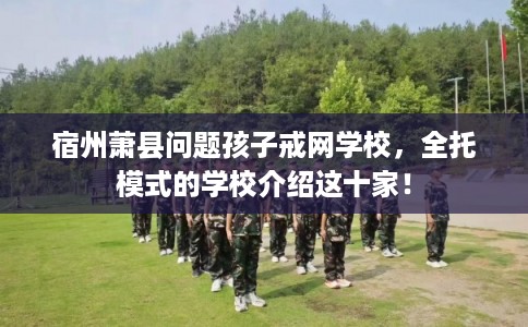 宿州萧县问题孩子戒网学校，全托模式的学校介绍这十家！