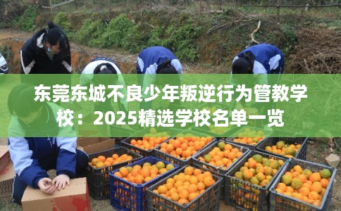 东莞东城不良少年叛逆行为管教学校：2025精选学校名单一览