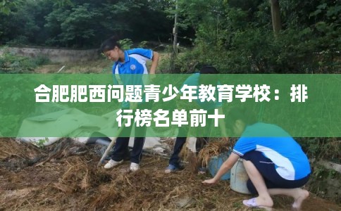 合肥肥西问题青少年教育学校：排行榜名单前十