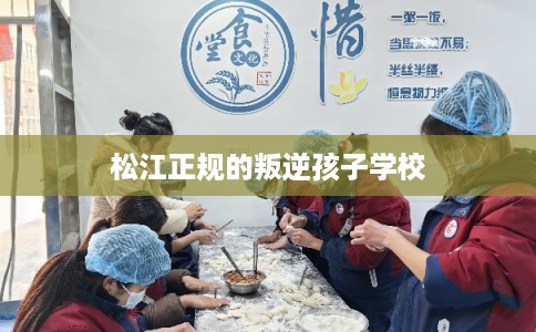 松江正规的叛逆孩子学校