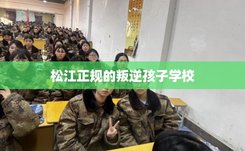 松江正规的叛逆孩子学校