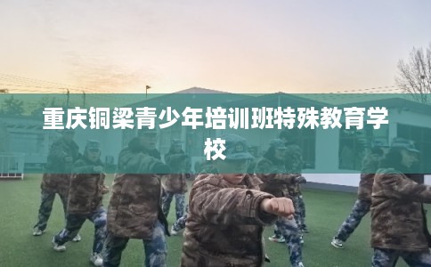 重庆铜梁青少年培训班特殊教育学校 重庆铜梁青少年培训班特殊教育学校