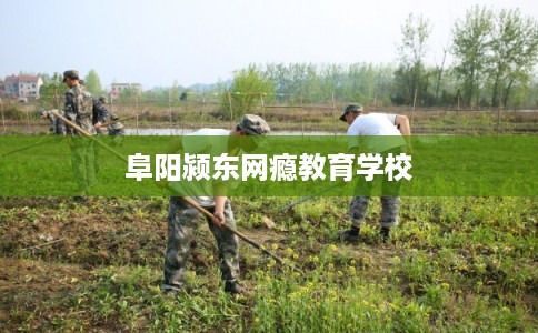 阜阳颍东网瘾教育学校