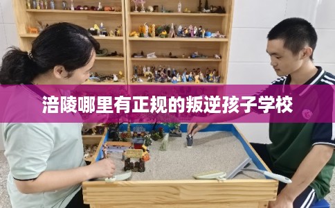 涪陵哪里有正规的叛逆孩子学校 涪陵哪里有正规的叛逆孩子学校