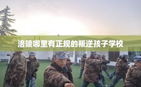 涪陵哪里有正规的叛逆孩子学校