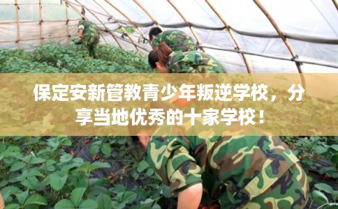保定安新管教青少年叛逆学校,分享当地优秀的十家学校! 保定安新管教青少年叛逆学校,分享当地优秀的十家学校!