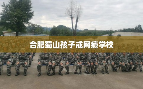 合肥蜀山孩子戒网瘾学校 合肥蜀山孩子戒网瘾学校