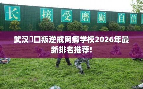武汉硚口叛逆戒网瘾学校2026年最新排名推荐!