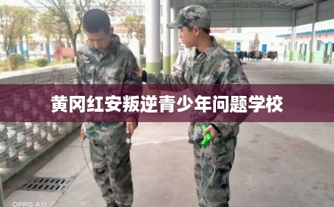 黄冈红安叛逆青少年问题学校