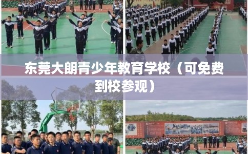 东莞大朗青少年教育学校(可免费到校参观) 东莞大朗青少年教育学校(可免费到校参观)