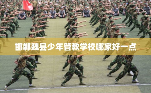 邯郸魏县少年管教学校哪家好一点
