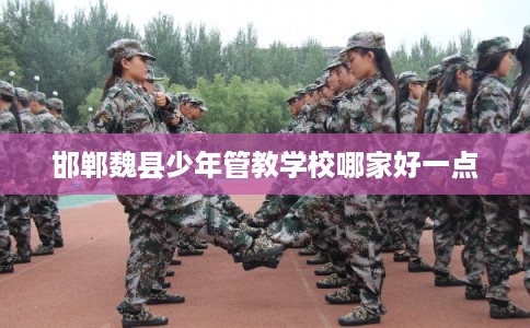 邯郸魏县少年管教学校哪家好一点