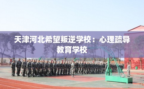 天津河北希望叛逆学校:心理疏导教育学校 天津河北希望叛逆学校:心理疏导教育学校