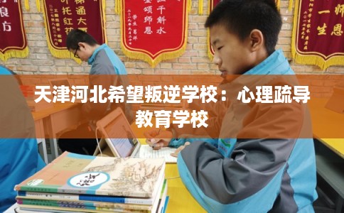 天津河北希望叛逆学校：心理疏导教育学校