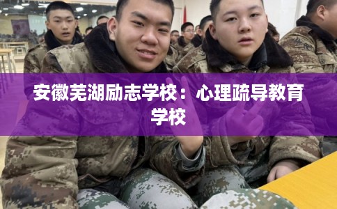 安徽芜湖励志学校：心理疏导教育学校