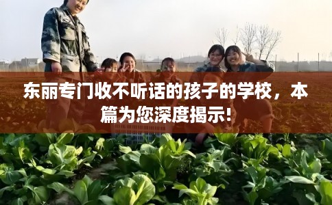 东丽专门收不听话的孩子的学校,本篇为您深度揭示! 东丽专门收不听话的孩子的学校,本篇为您深度揭示!