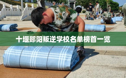 十堰郧阳叛逆学校名单榜首一览 十堰郧阳叛逆学校名单榜首一览
