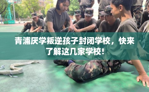 青浦厌学叛逆孩子封闭学校，快来了解这几家学校!