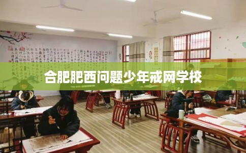合肥肥西问题少年戒网学校