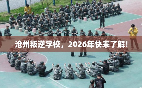 沧州叛逆学校，2026年快来了解!