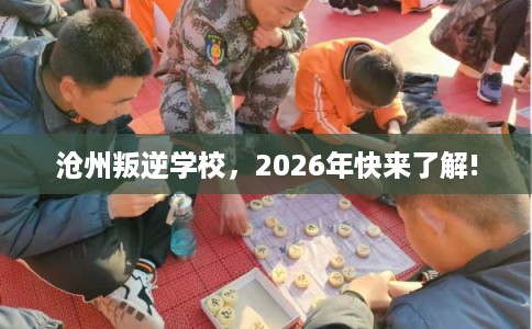 沧州叛逆学校，2026年快来了解!