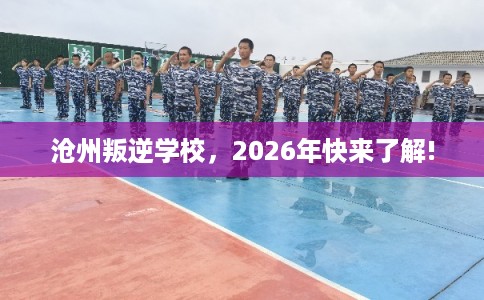 沧州叛逆学校，2026年快来了解!
