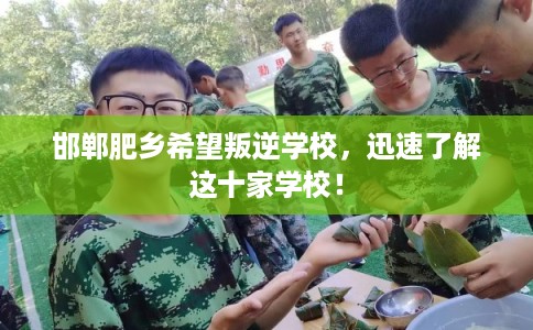 邯郸肥乡希望叛逆学校,迅速了解这十家学校! 邯郸肥乡希望叛逆学校,迅速了解这十家学校!