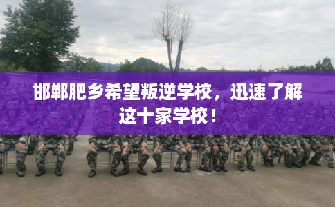 邯郸肥乡希望叛逆学校,迅速了解这十家学校! 邯郸肥乡希望叛逆学校,迅速了解这十家学校!