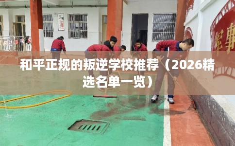 和平正规的叛逆学校推荐（2026精选名单一览）