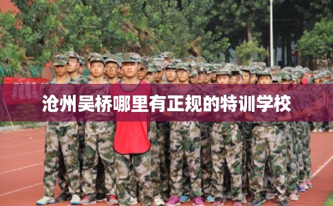 沧州吴桥哪里有正规的特训学校