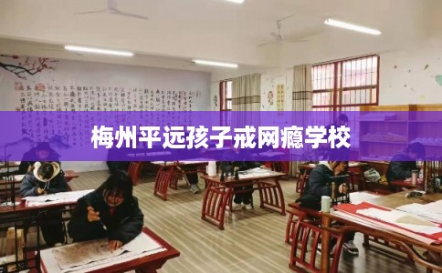 梅州平远孩子戒网瘾学校