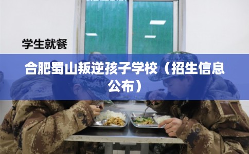 合肥蜀山叛逆孩子学校(招生信息公布) 合肥蜀山叛逆孩子学校(招生信息公布)