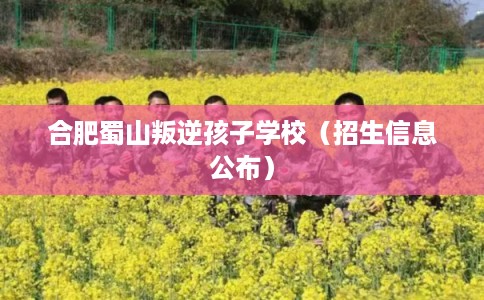 合肥蜀山叛逆孩子学校(招生信息公布) 合肥蜀山叛逆孩子学校(招生信息公布)