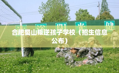 合肥蜀山叛逆孩子学校(招生信息公布) 合肥蜀山叛逆孩子学校(招生信息公布)