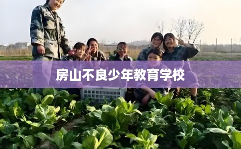 房山不良少年教育学校