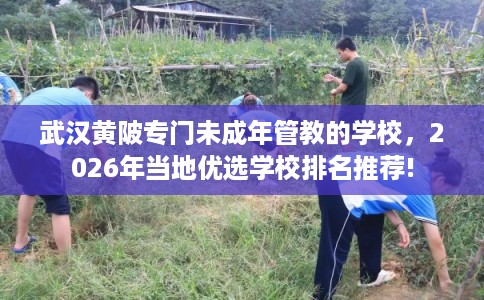 武汉黄陂专门未成年管教的学校,2026年当地优选学校排名推荐! 武汉黄陂专门未成年管教的学校,2026年当地优选学校排名推荐!