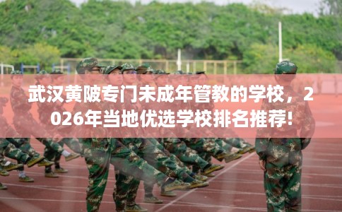 武汉黄陂专门未成年管教的学校,2026年当地优选学校排名推荐! 武汉黄陂专门未成年管教的学校,2026年当地优选学校排名推荐!