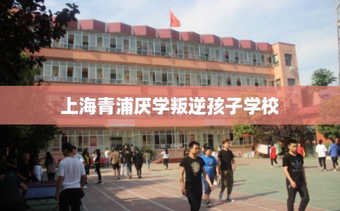上海青浦厌学叛逆孩子学校 上海青浦厌学叛逆孩子学校