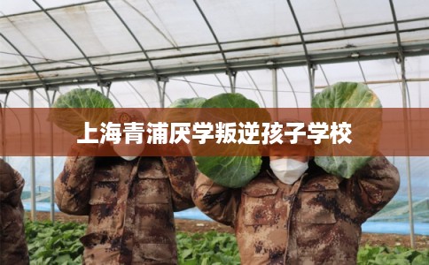 上海青浦厌学叛逆孩子学校 上海青浦厌学叛逆孩子学校