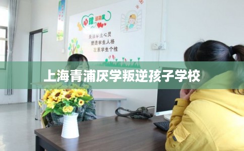 上海青浦厌学叛逆孩子学校 上海青浦厌学叛逆孩子学校