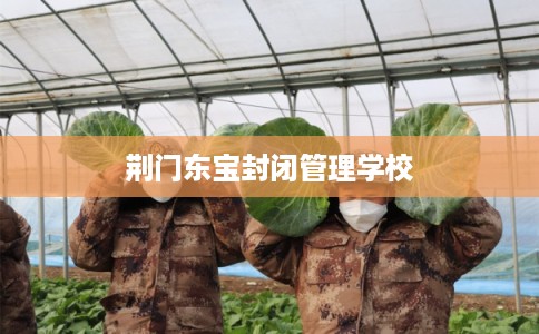 荆门东宝封闭管理学校